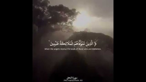 تلاوة رائعه الشيخ أحمد النفيس