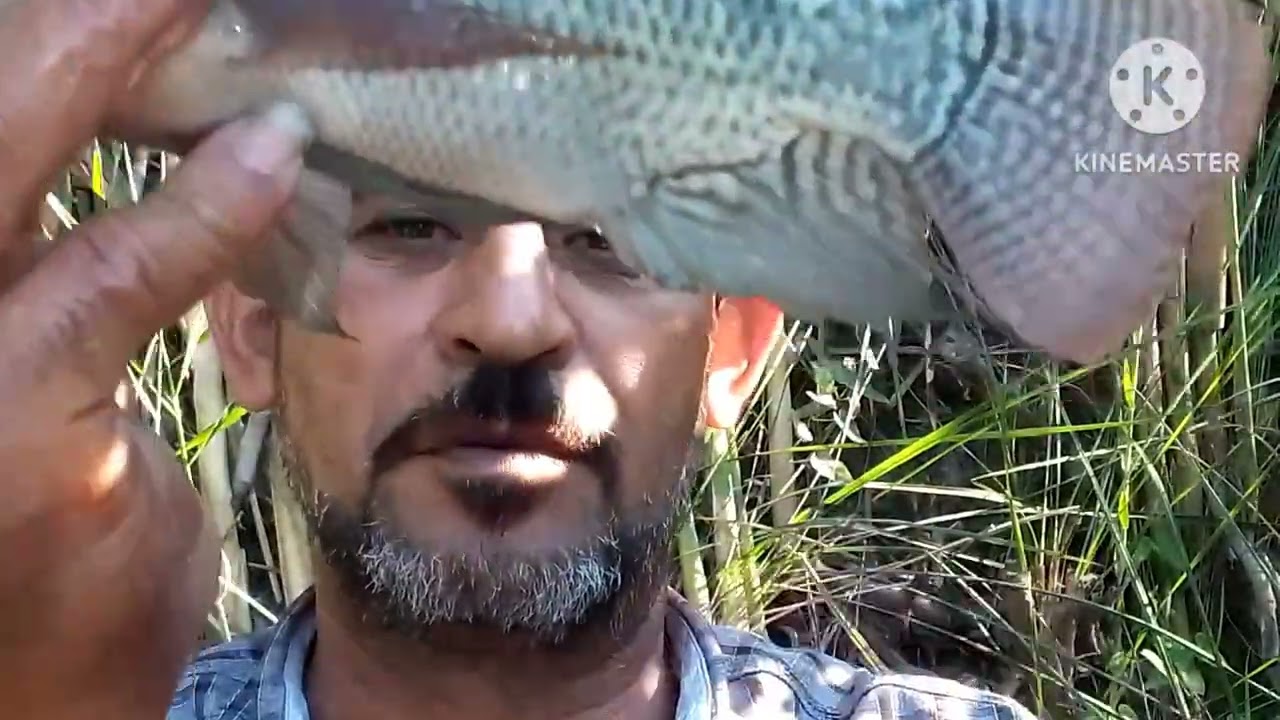 ١٩ أكتوبر ٢٠٢٥