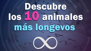 Los animales más longevos en la Tierra