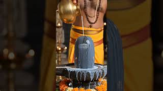 ఓం నమఃశివాయ #seo #studio#telugu#ai #like #share #chnnel #subscribe #lordshiva #trending#video 🙏🙏🙏🕉️🔱