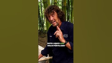 The Power of Compost Worms