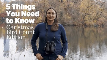 5 Things You Need to Know About Audubon