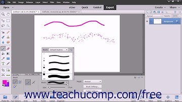 Photoshop Elements 15 Tutotial Resetting Brush and Tool Settings Adobe Training