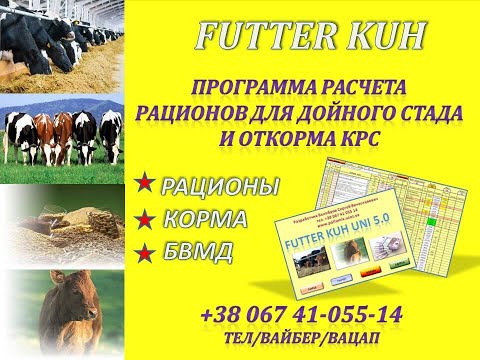 Расчет рациона для дойных коров в программе FUTTER KUH UNI 5 0 !
