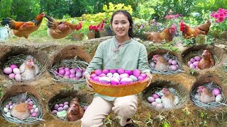 Harvesting CHICKEN EGGS &  QUAIL EGGS...Goes To The Market Sell - Making garden / Cooking