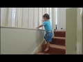 HOW MY 1 YR OLD COMES DOWN THE STAIRS!