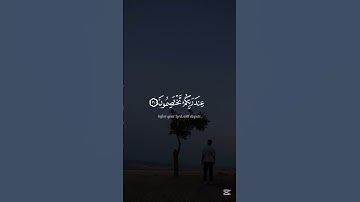 ما تيسر من سورة الزمر القارئ ياسر الدوسري