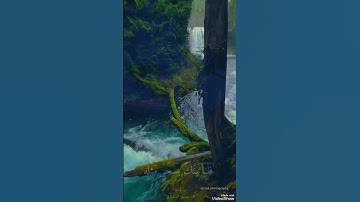 المنشاوي وما ادراك ما المنشاوي...تلاوة خاشعة