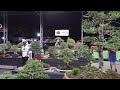 Recently held bonsai exhibit competition and challenge by tarlac bonsai society bonsaishow