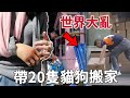 帶著20只貓狗搬離住了五年的舊家，最放不下的還是那群小浪貓｜李喜猫