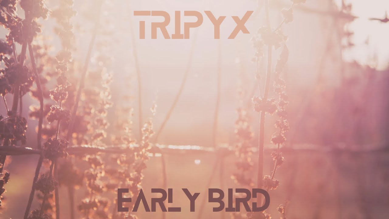 Watch TRIPYX - Early Bird on YouTube