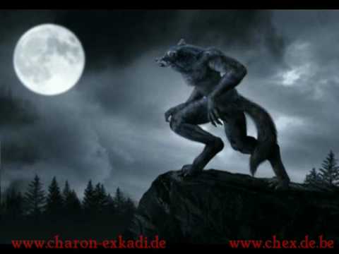 Charon Exkadi - Werwolf