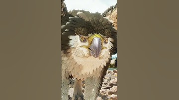 ARK YI LING  #shorts #ark #sigma