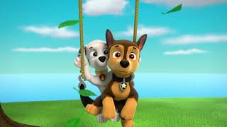 Chase Falls On The Swing Joining Marshall - Paw Patrol