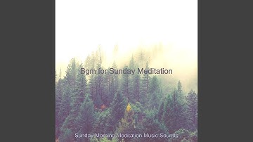 Stylish Koto and Strings - Vibe for Sunday Rejuvenation