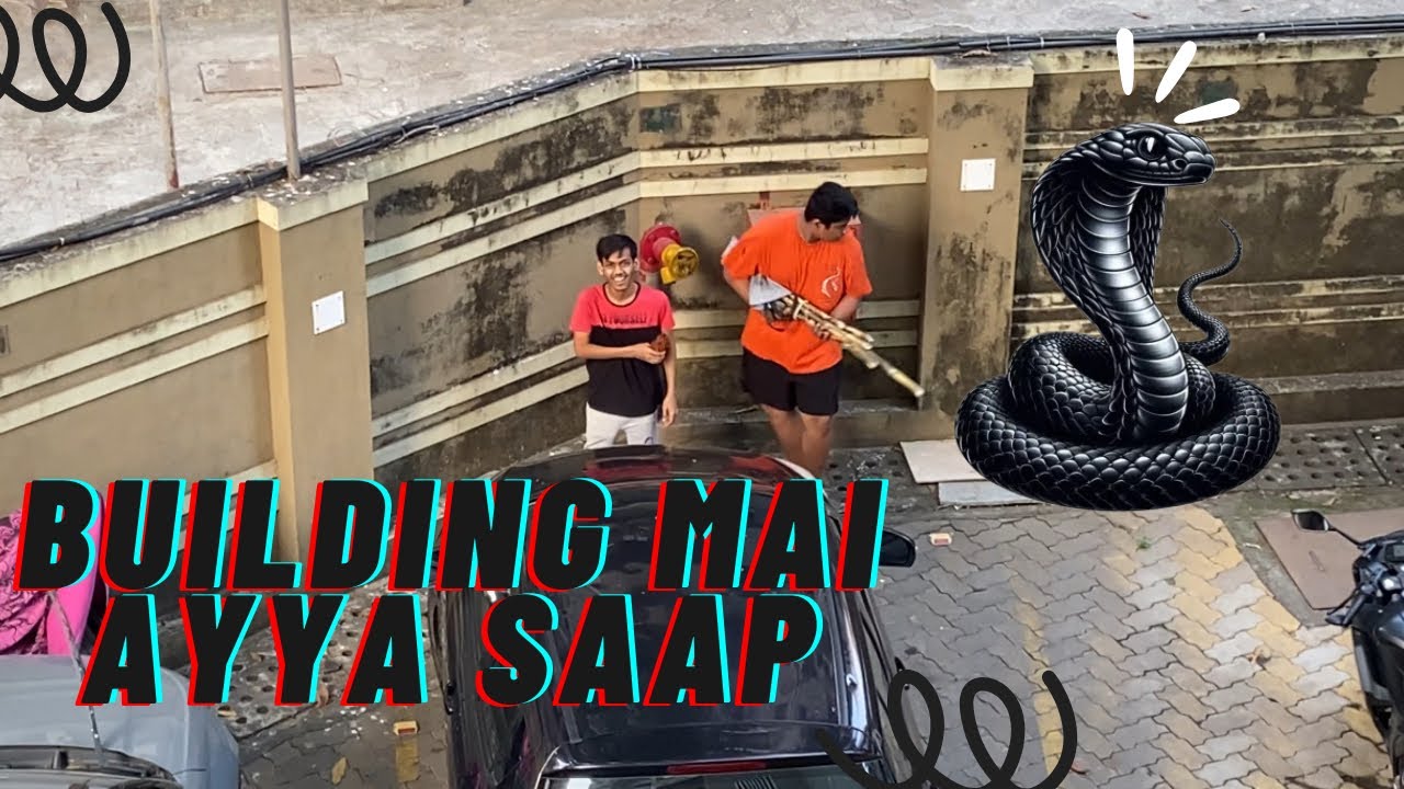 Massive Snake Found Inside Our Building 😱🔥 | You Won’t Believe What ...