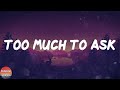 Niall Horan - Too Much To Ask (Lyrics)