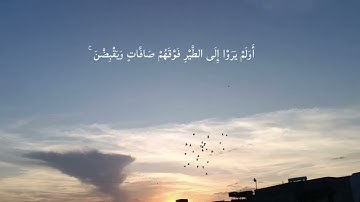 {أَوَلَمْ يَرَوْا إِلَى الطَّيْرِ فَوْقَهُمْ صَافَّاتٍ وَيَقْبِضْنَ} بصوت القارئ المنشاوي 🎧