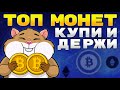 В какие монеты инвестировать на долгосрок? Составляем долгосрочный портфель