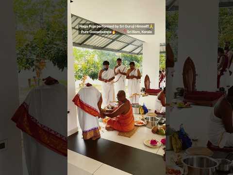 Naga Puja performed by Sri Guruji Himself at Idukki, Kerala🔥#guru #naga #yogi #shiv #swami #divine