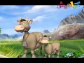 جموع الحيوانات قناة كراميش الفضائية Karameesh Tv جموع الحيوانات قناة كراميش الفضائية Karameesh Tv