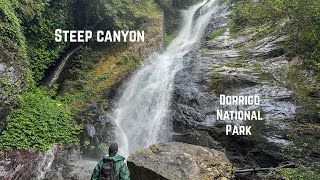 Solo hiking a dangerously steep canyon in Dorrigo National Park!