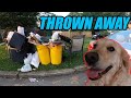 They Threw it Away in the TRASH So I Took It For FREE! Ep. 459