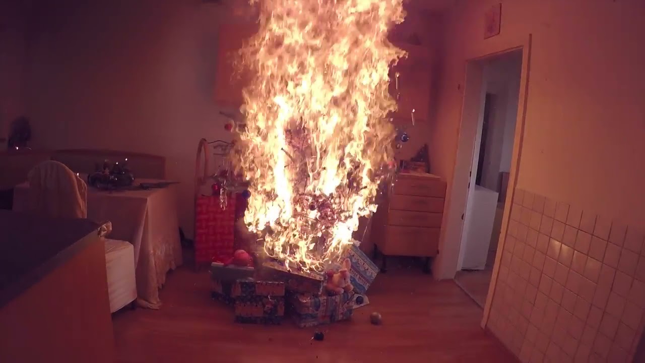 incendio arvore natal