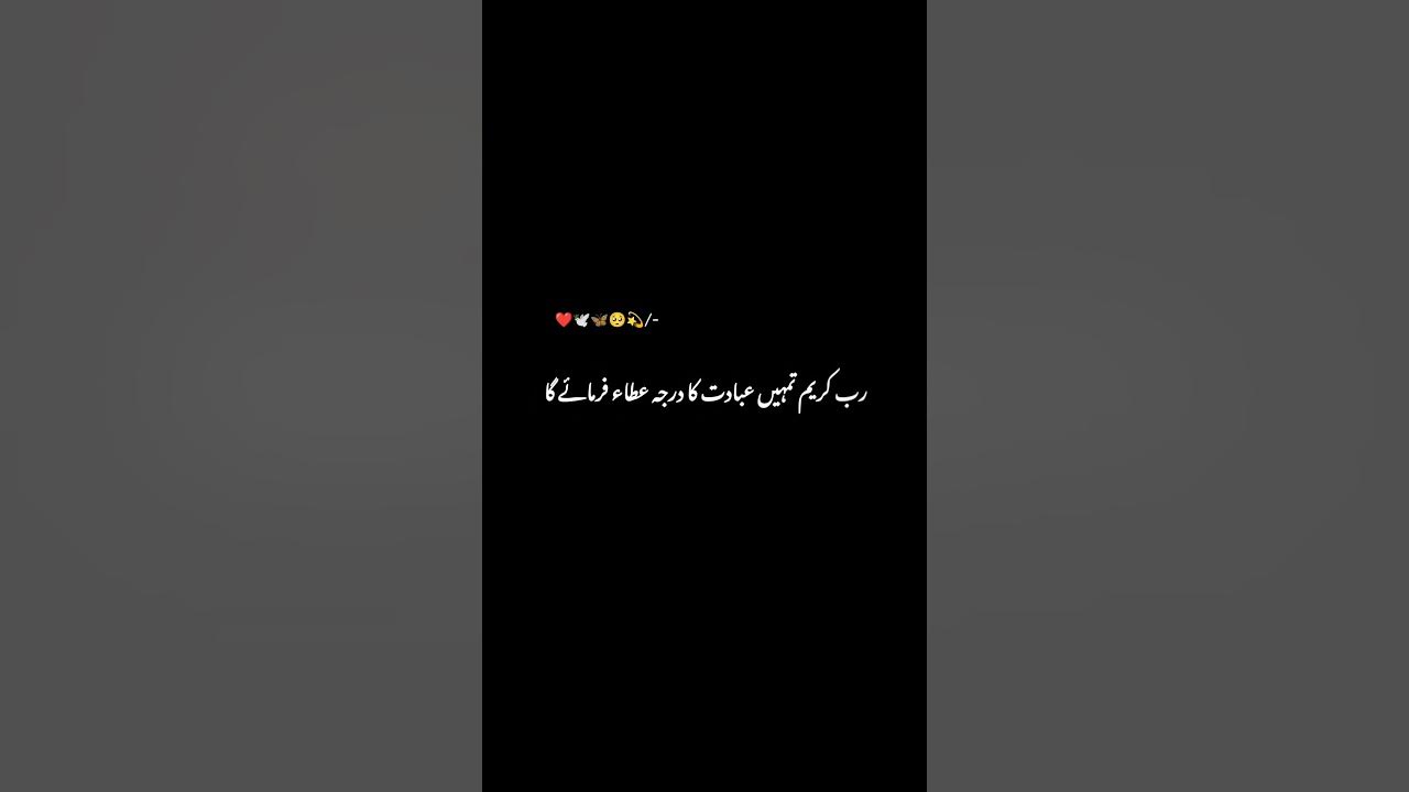 black screen video status Urdu POETRY black background WhatsApp States