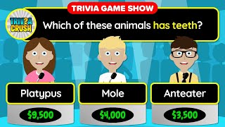 ✅ TEST YOUR KNOWLEDGE! - 40 Mixed Trivia Quiz Questions in a Unique Game Show Format. Round 98