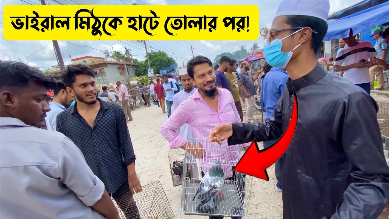 হাটে কত টাকা বিক্রি করা যাবে মিঠুকে?🕊️🤔 | টংগী কবুতরের হাট | white pigeon yt