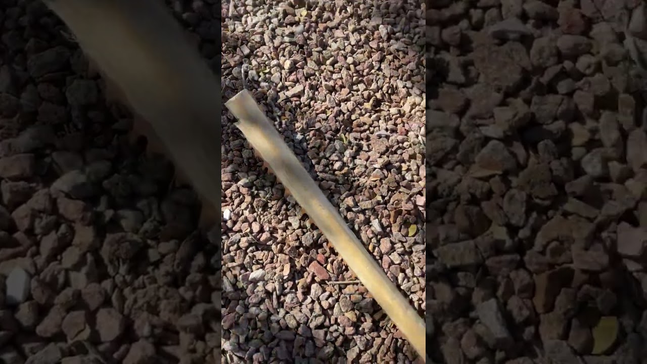 Palm Leaf Sword Thingy