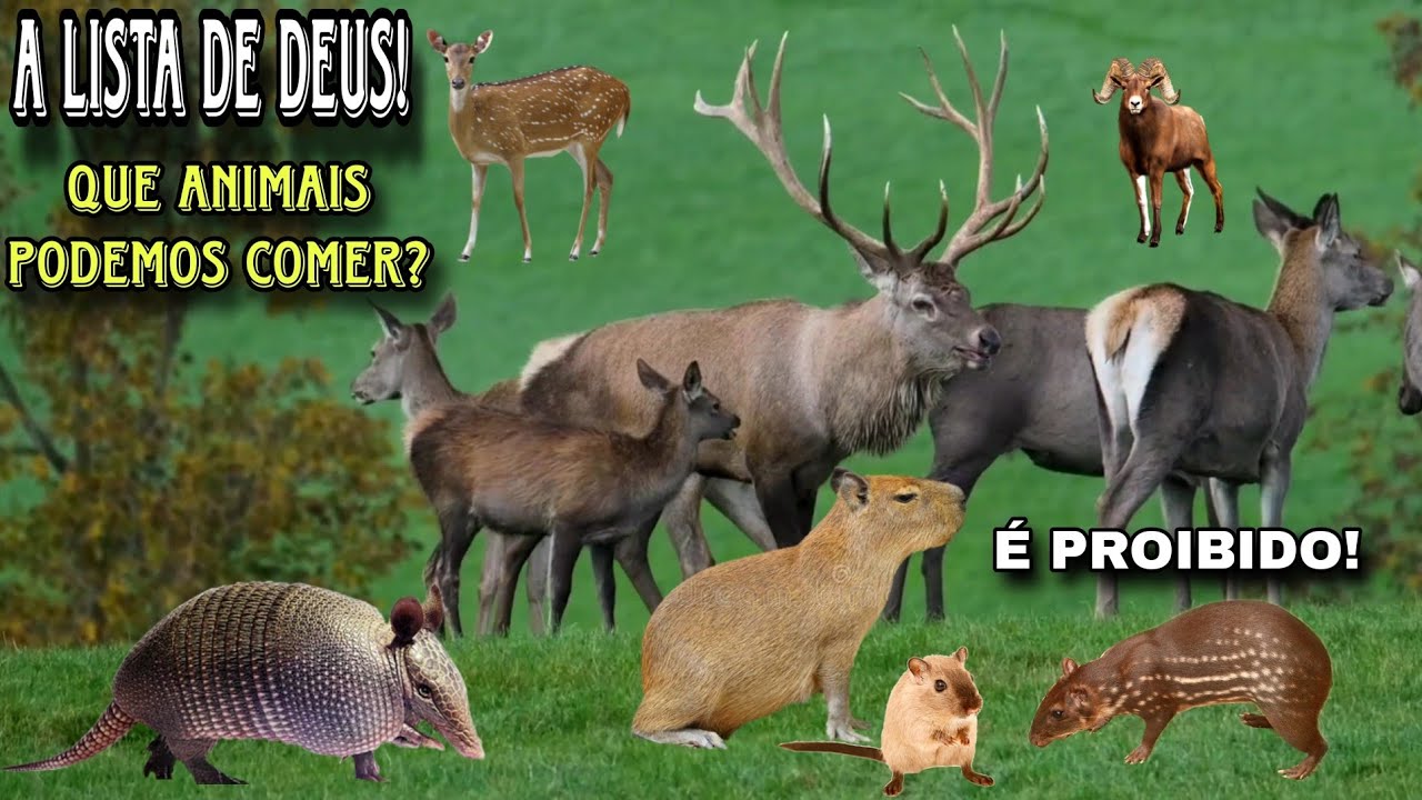 Quais animais podemos comer segundo a Bíblia? #natureza # ...