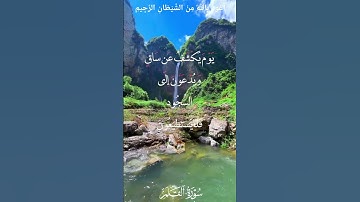 🌺القرآن الكريم 🌺ما تيسر من سورة القلم