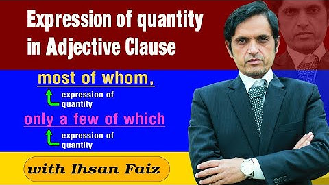 Expressions of Quantity in Adjective Clause
