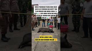 Babi Ngepet Tertangkap Di Perumahan Warga