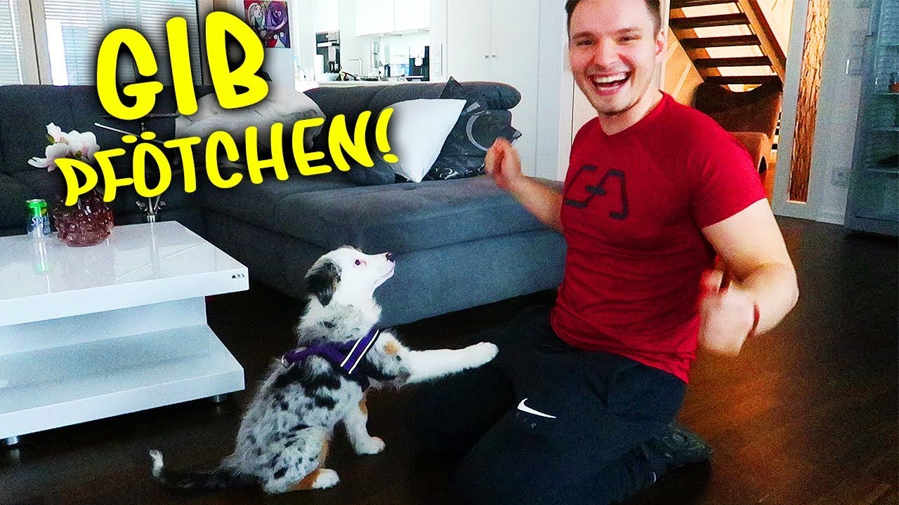 LUNA TRICKS BEIBRINGEN !!