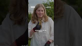 Nature’s seasons, Antrim’s story 🌷 Content