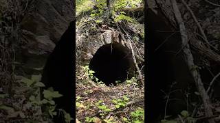 Hidden Colonial Era Ice Cave!🔥 dji # Avata2  #drone #viralshorts # Northern Virginia