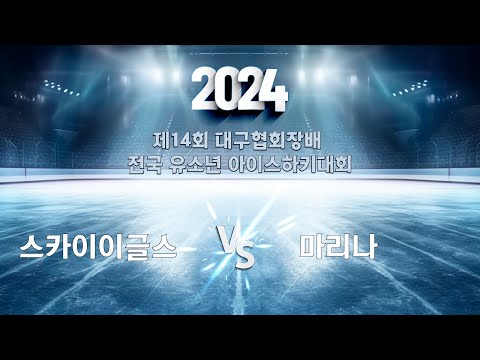 제14회 대구협회장배 전국 유소년 아이스하키대회 스카이이글스vs마리나 #hockey #하키