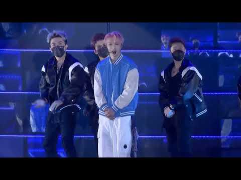 LAY VEIL PERFORMANCE