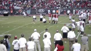 Mike Vick Throws P To 9 Yr Old And Deangelo Hall Tips And Intercepts