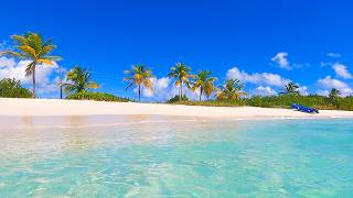 A Quiet Afternoon on the Sands of Anguilla