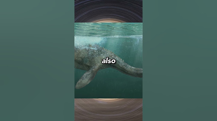 3 of the Most Famous Lake Monsters in the World