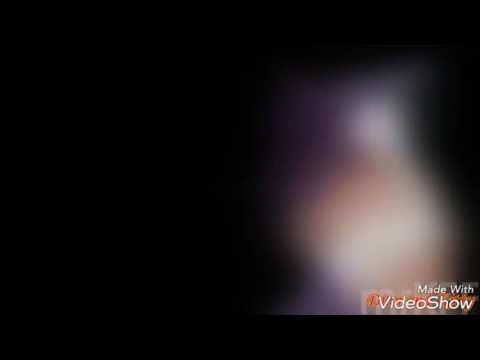 Быстролап и Веснянка