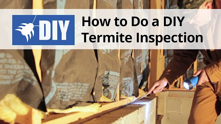 How to Do A Termite Inspection - DayDayNews