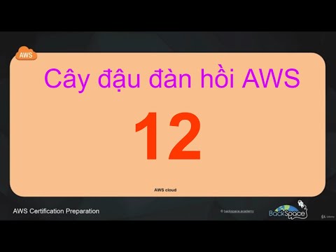 Video: Cân bằng tải đàn hồi trong AWS là gì?