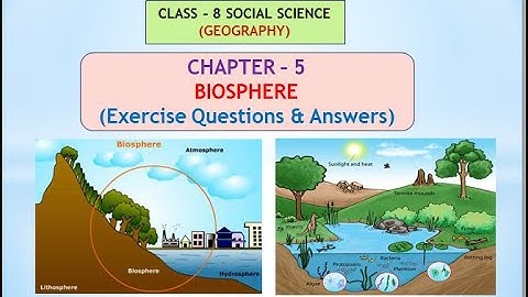Class - 8 Geography| Chapter - 5 Biosphere | Exercise Questions & Answers| Karnataka Board
