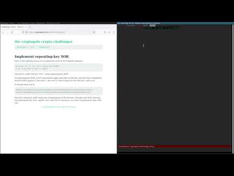 Cryptopals Guided Tour - 05 - Implement repeating-key XOR