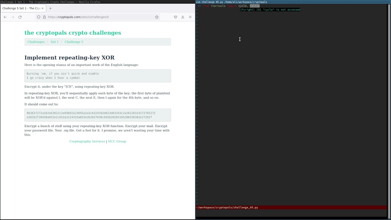 Cryptopals Guided Tour - 05 - Implement repeating-key XOR